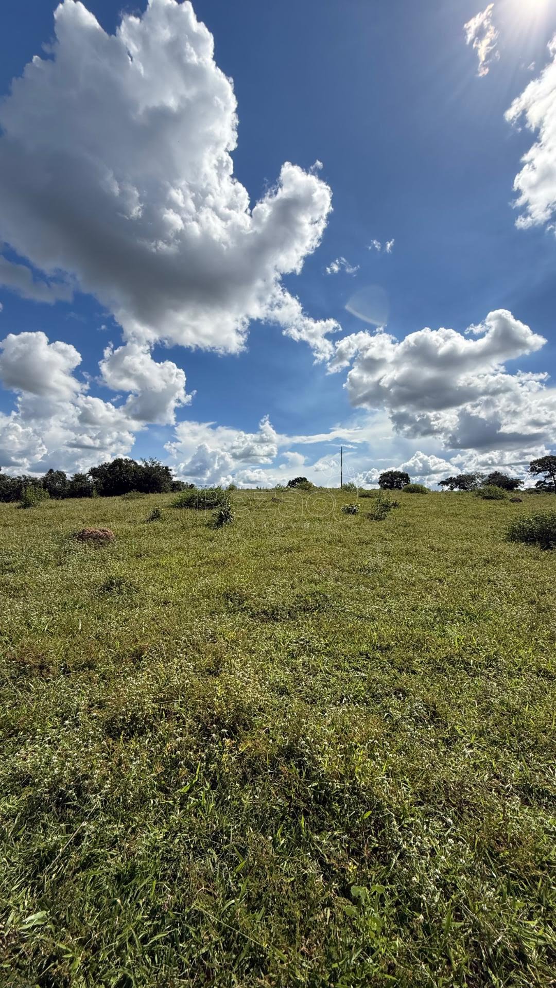 Rural à venda no Fazenda, Itapuranga (GO) — foto 8 de 11