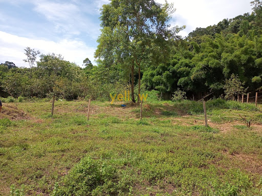 Terreno Residencial  em 13 de Maio  -  Santa Isabel