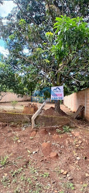 Lote em Vila Maria Regina (icaraí)  -  Juatuba