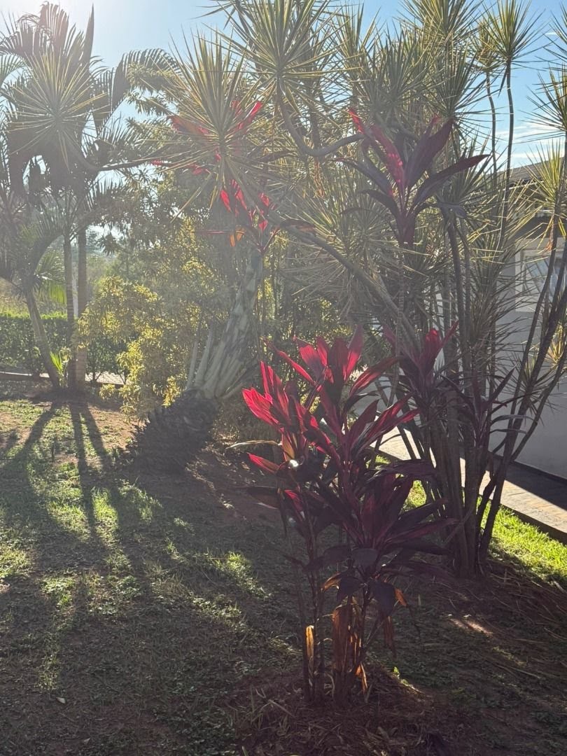 Comercial à venda com 3 banheiros e 1700m² no Centro, Cedral (SP) — foto 10 de 30