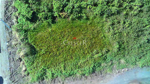 Terreno a venda no Praia Grande em Matinhos