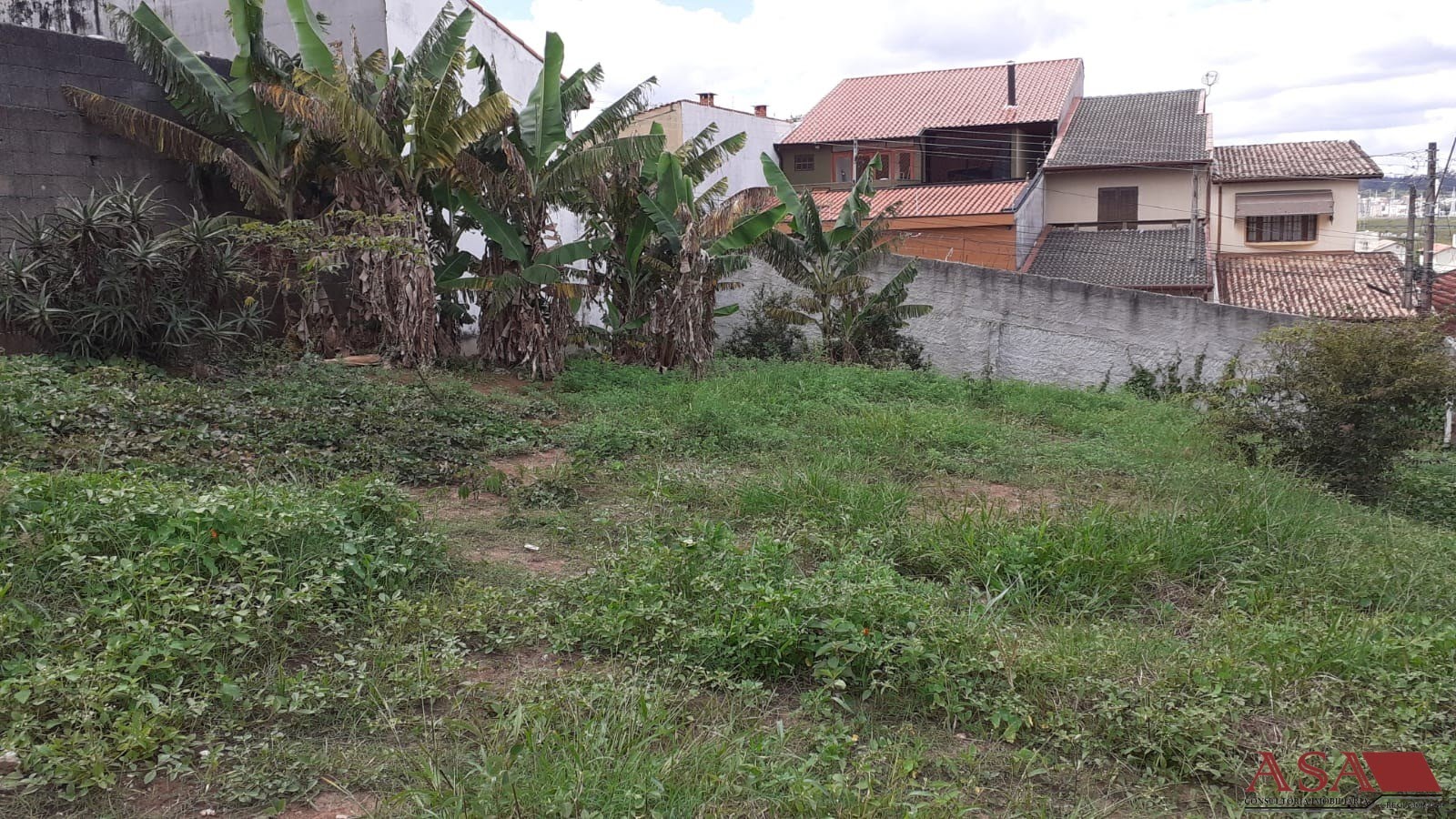 Foto 02