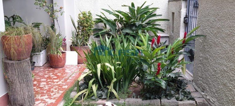 Foto 02