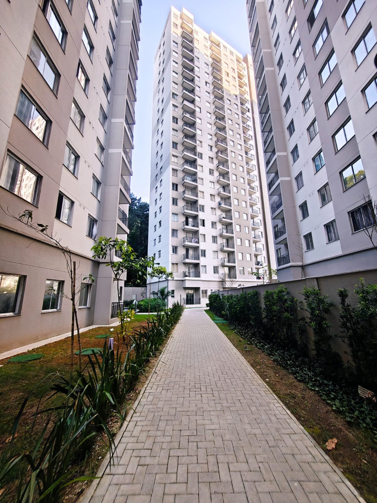 Apartamento para alugar com 2 quartos, 1 banheiro e 39m² no Chácara Inglesa, São Paulo (SP) — foto 17 de 28