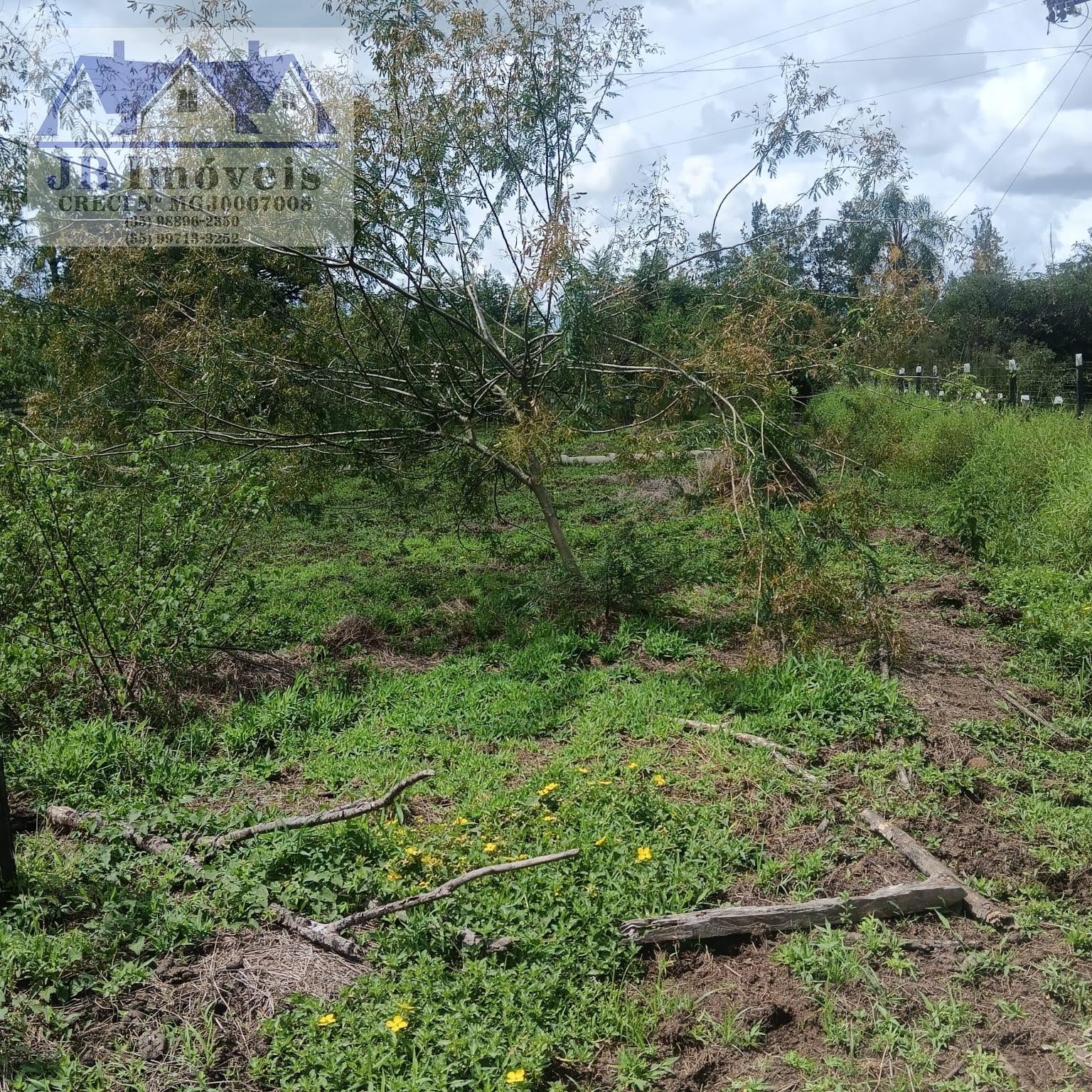 Terreno à venda com 3000m² de terreno no Carneiros, Piranguinho (MG) — foto 15 de 21