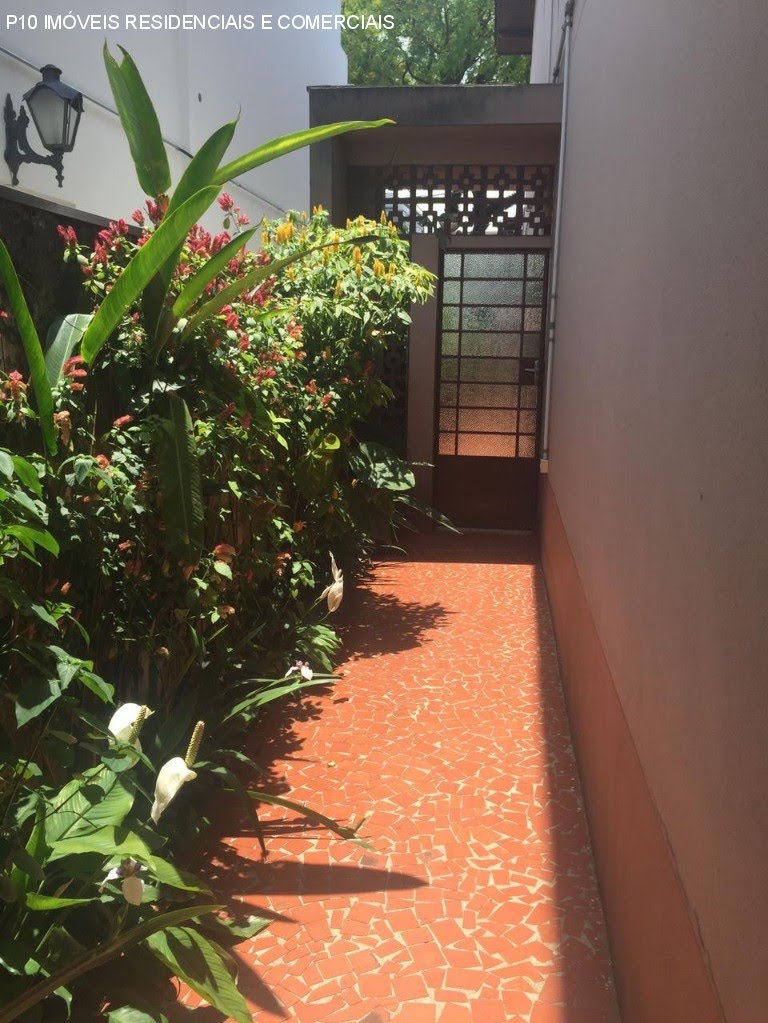 Foto 01