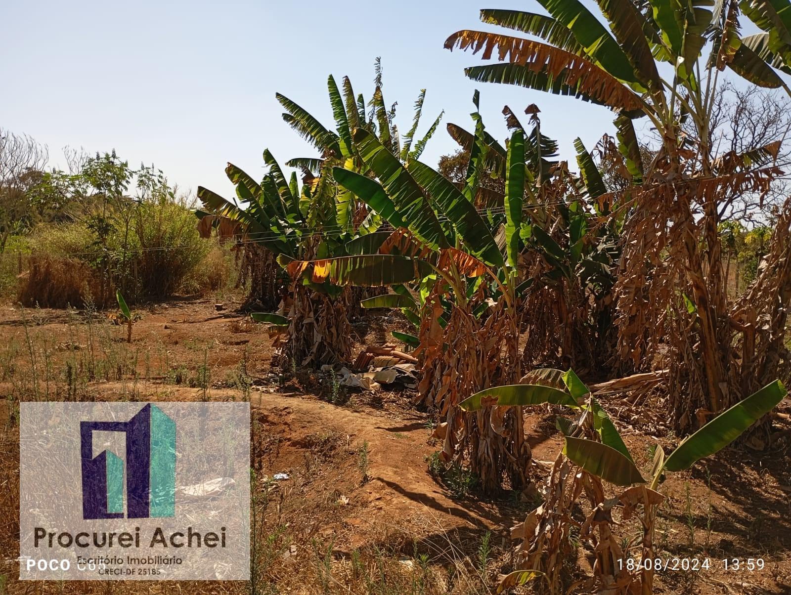 Rural à venda com 30000m² de terreno no Planaltina, Brasília (DF) — foto 4 de 17