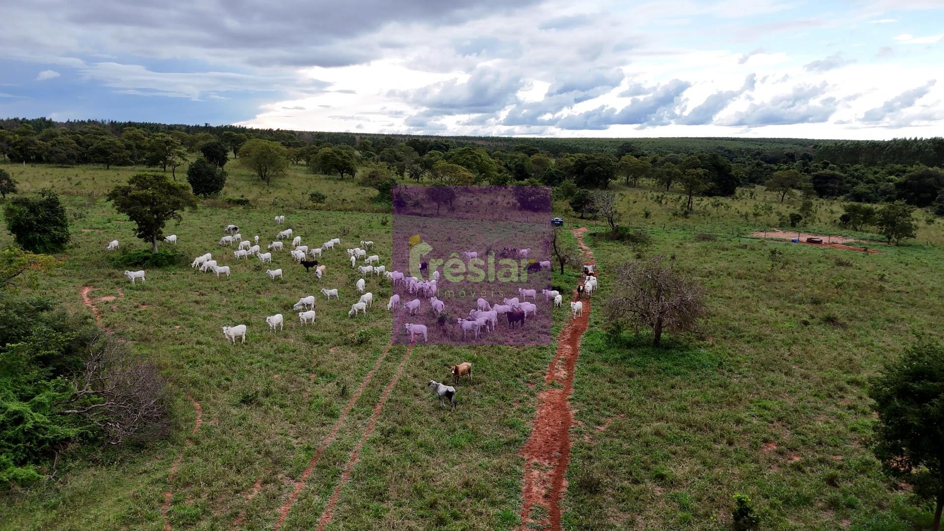 Rural à venda com 710000m² de terreno no Fazenda, Três Lagoas — foto principal