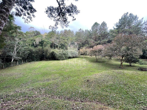 Foto 36