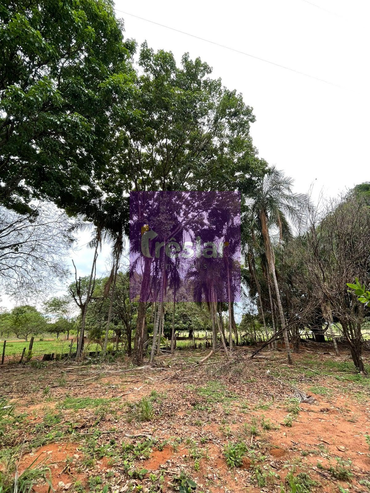 Rural à venda no Fazenda, Três Lagoas (MS) — foto 20 de 24