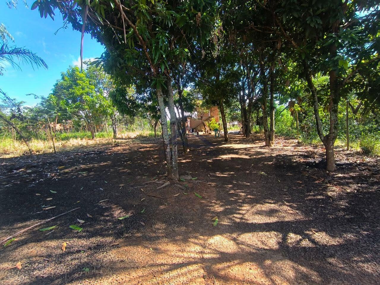 Rural à venda com 1395m² de terreno no Estrela Dalva, Caetanópolis (MG) — foto 12 de 14