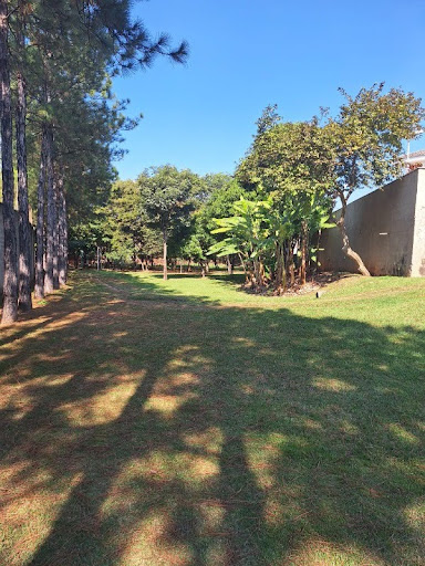 Foto 04