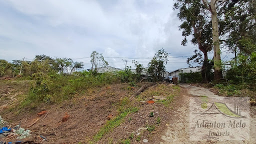Lote / Terreno em Itaquera Colônia (Zona Leste)  -  São Paulo