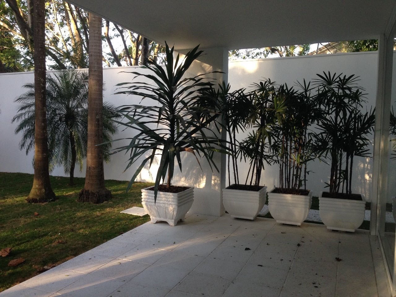 Foto 04