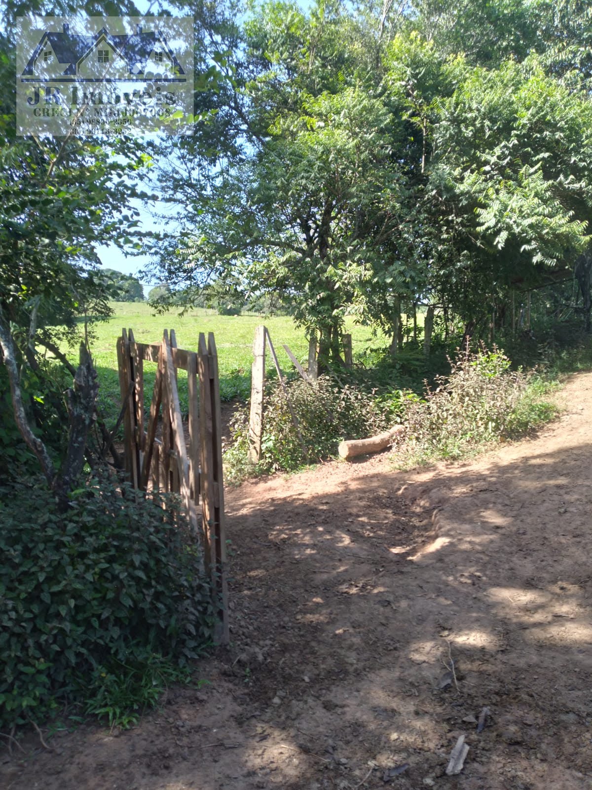 Rural à venda com 20000m² de terreno no Paulino Paixao, Pedralva (MG) — foto 9 de 28