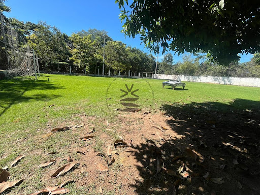 Campo futebol