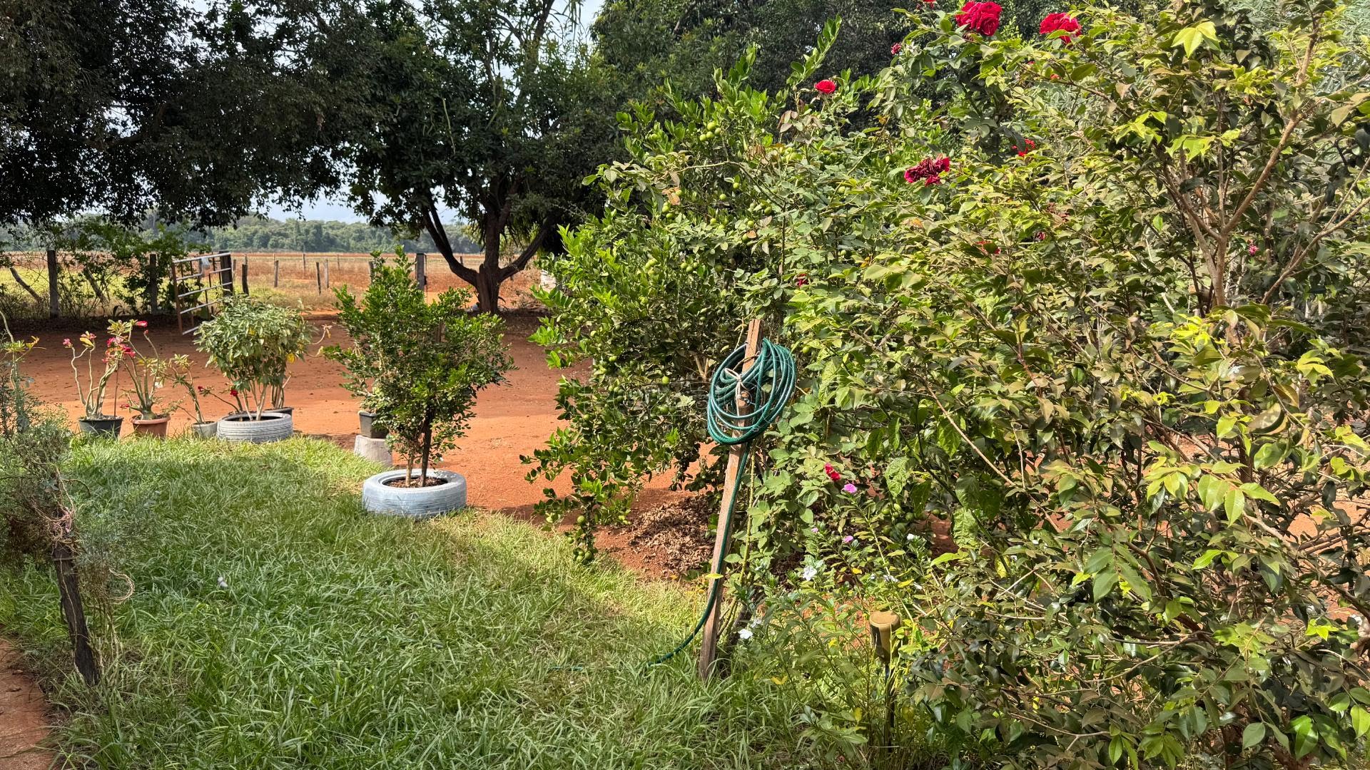 Rural à venda com 5445m² de terreno no Zona Rural de Heitoraí, Heitoraí (GO) — foto 17 de 30