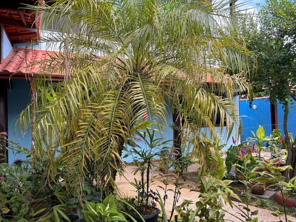 Casa à venda com 3 quartos, 3 suítes, 2 vagas e 360m² no Jardim Bela Vista, Rio das Ostras (RJ) — foto 29 de 30