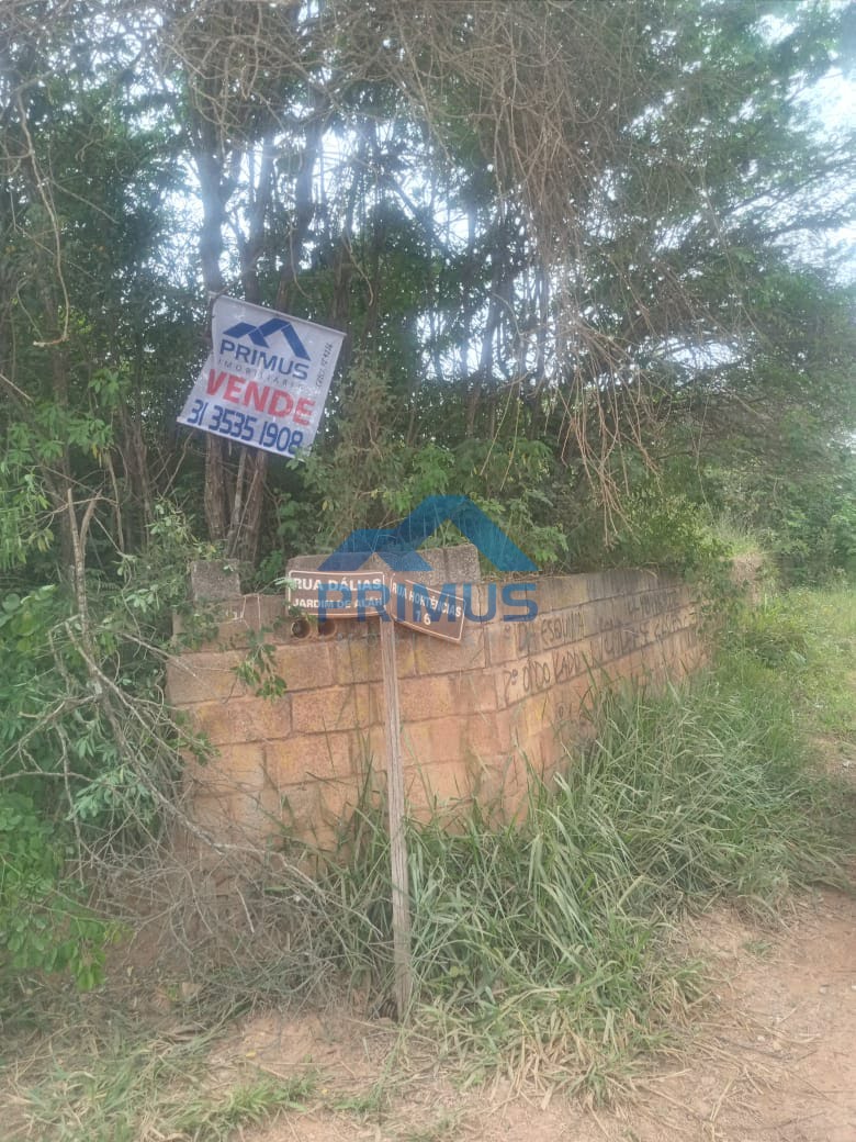 LOTE NA RUA DALIAS