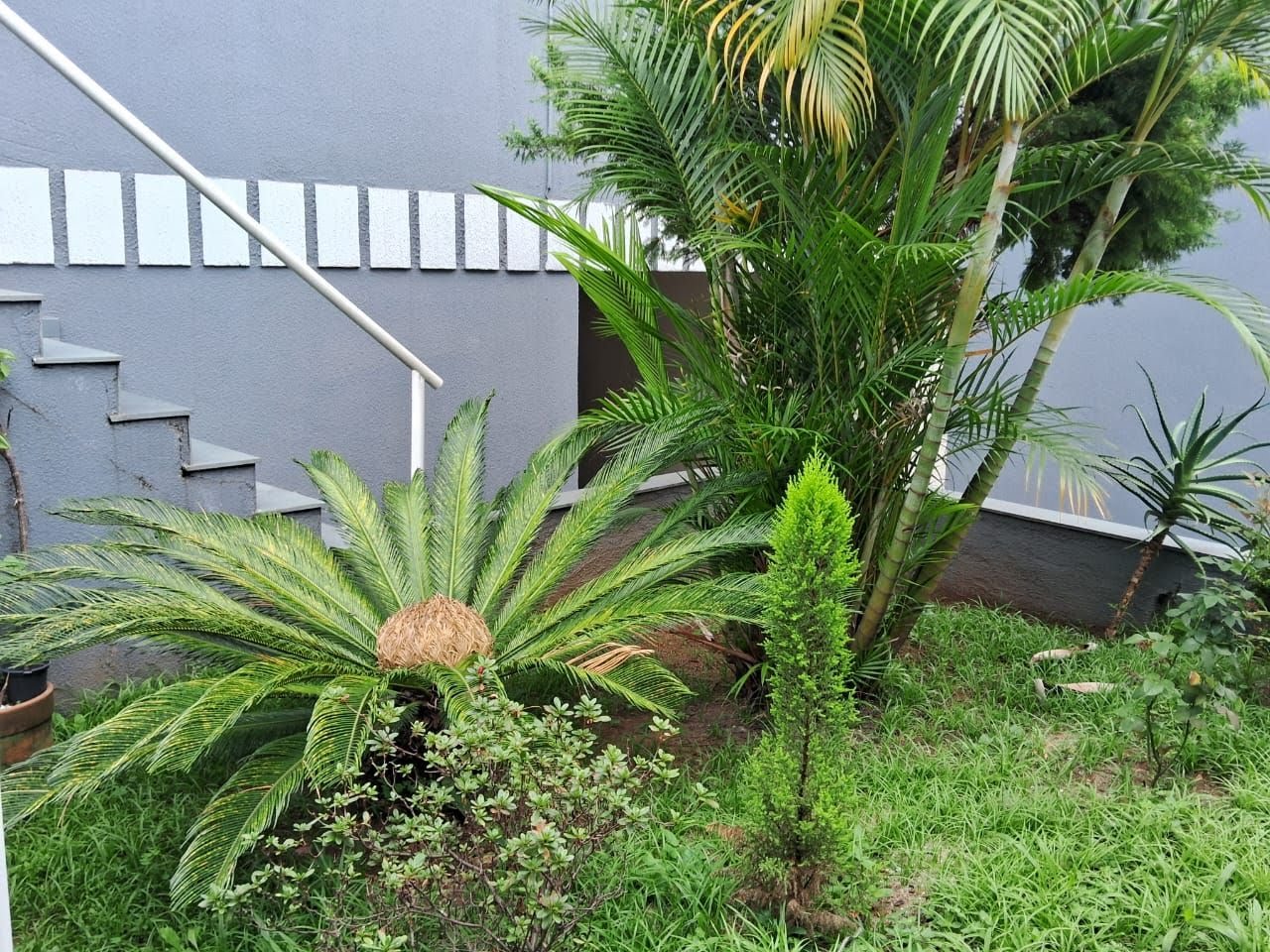 Sobrado, 3 quartos, 90 m² - Foto 6