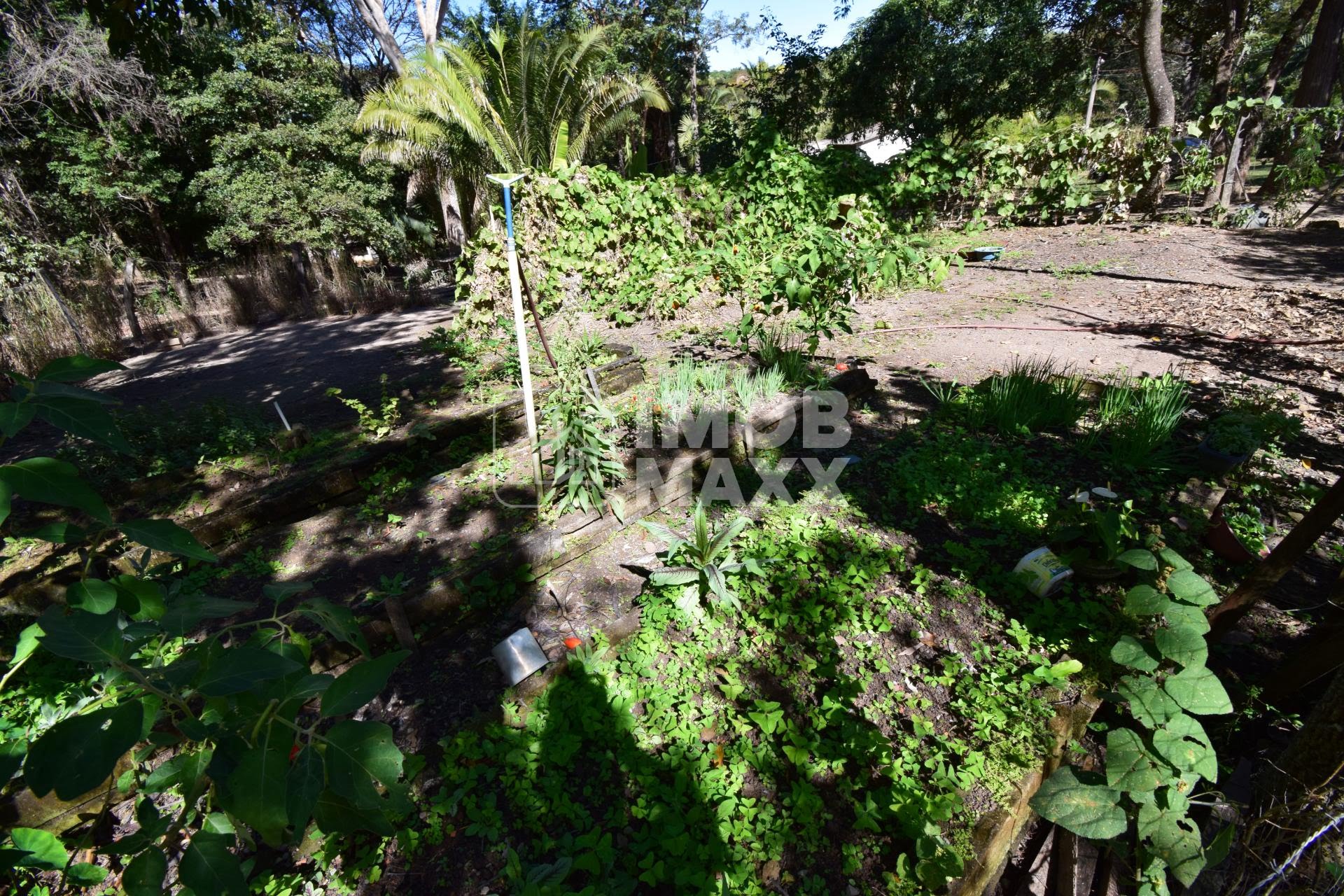 Chácara, 5 quartos, 5 hectares - Foto 47