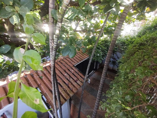 3836739079.jpg