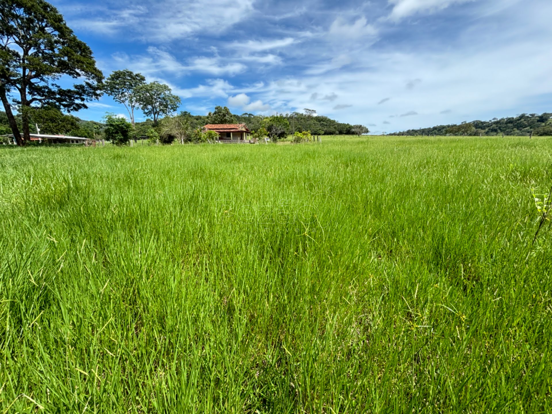 Rural à venda com 48400m² de terreno no Chacara, Itapuranga (GO) — foto 13 de 14