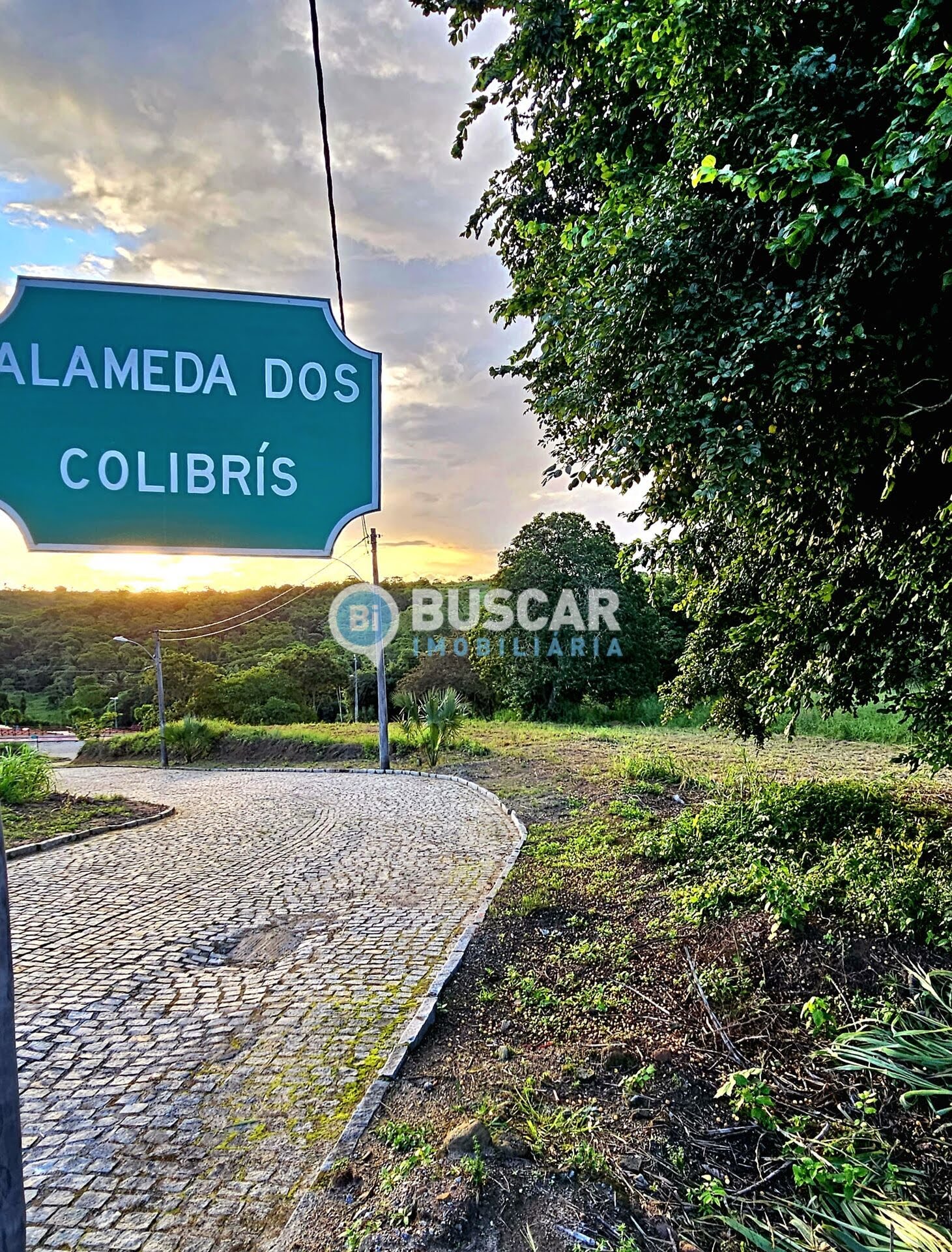 Terreno à venda no Br-324, Amélia Rodrigues (BA) — foto 10 de 17