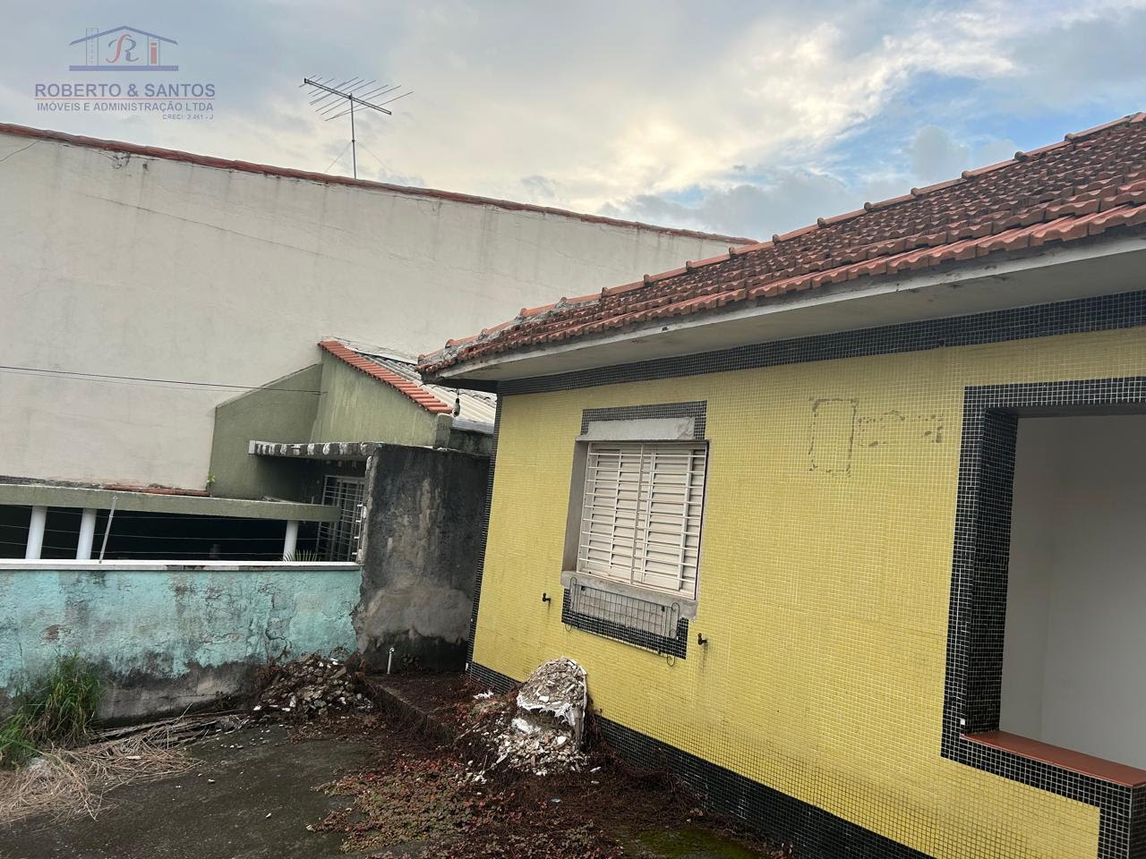 Frente