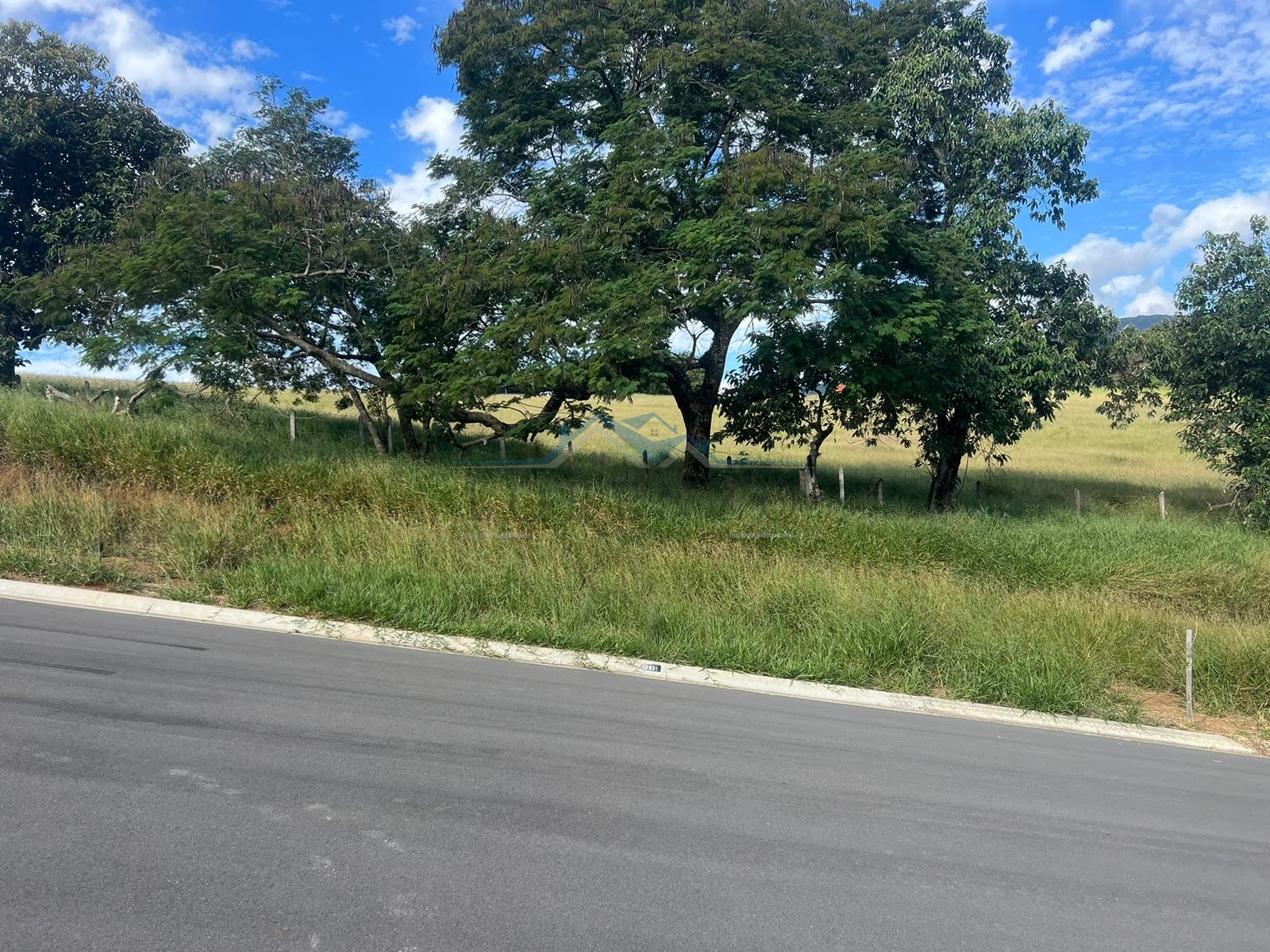 VISTA DA RUA