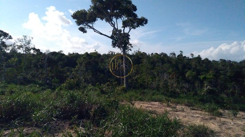 Terreno à venda com 375m² de terreno no Loteamento Paraíso do Descobrimento, Santa Cruz Cabrália (BA) — foto 8 de 8