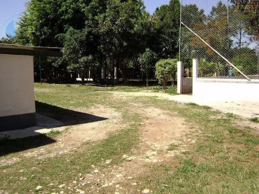 Galpão em Cidade Parque Alvorada  -  Guarulhos