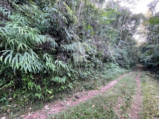Foto 06