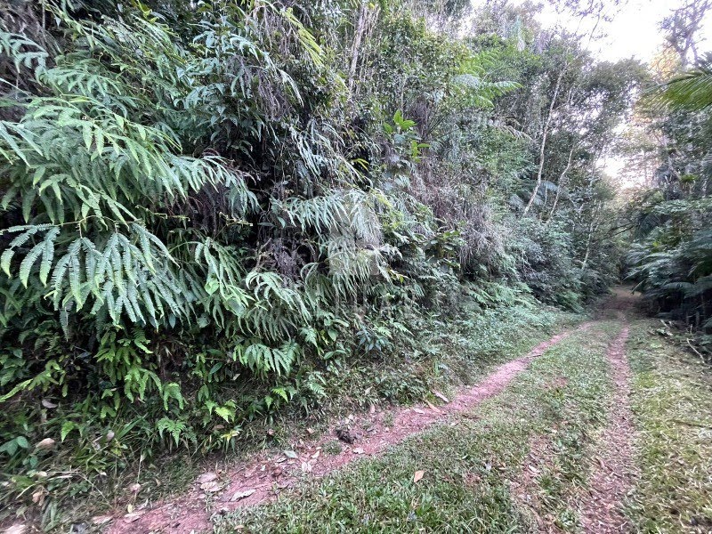 Foto 06