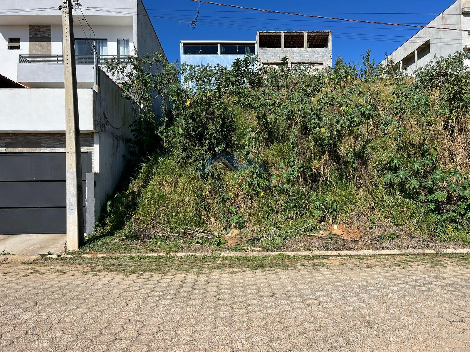 VISTA DA RUA