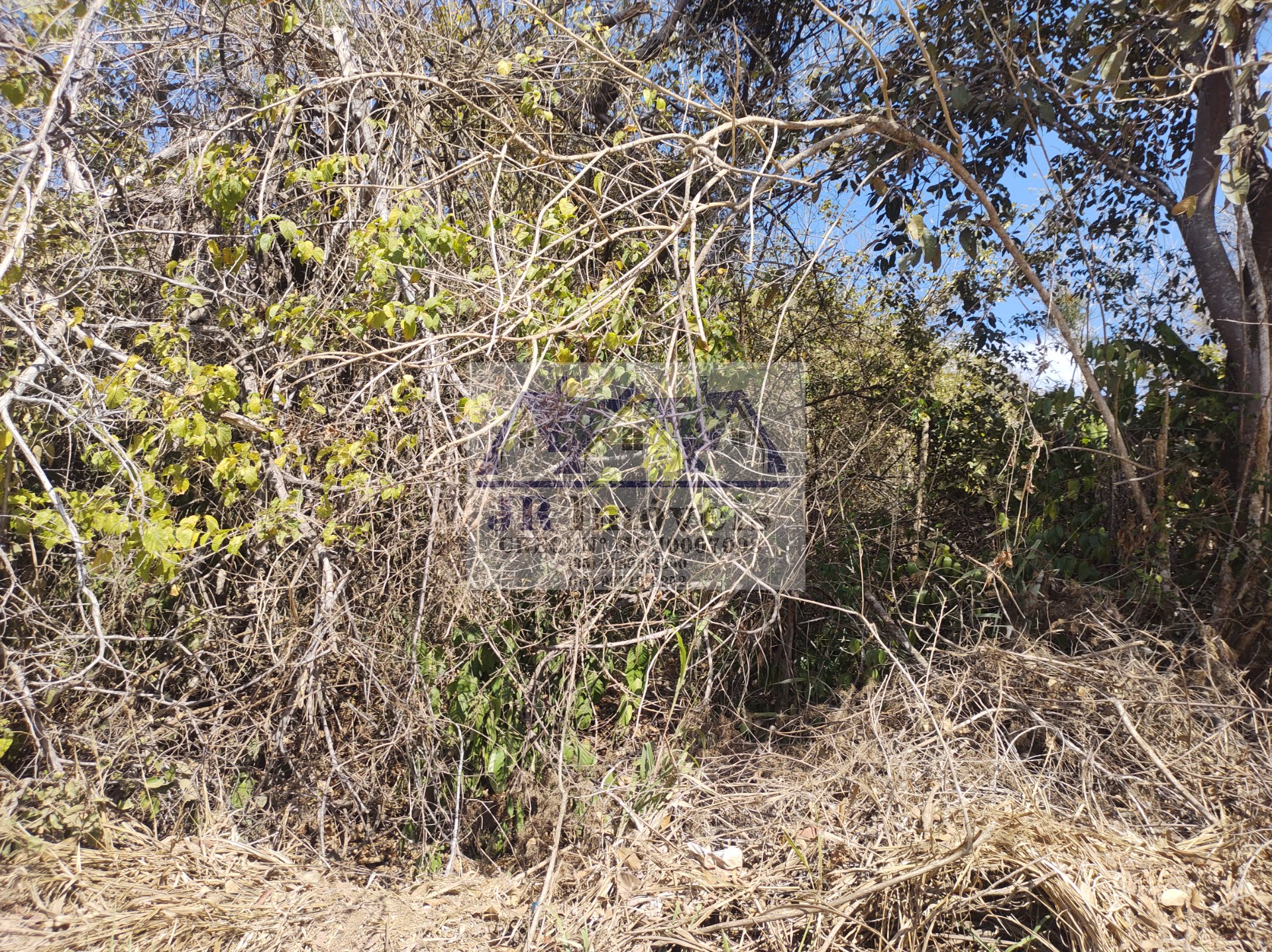 Terreno à venda com 5686m² de terreno no Santa Barbara, Piranguinho (MG) — foto 14 de 17