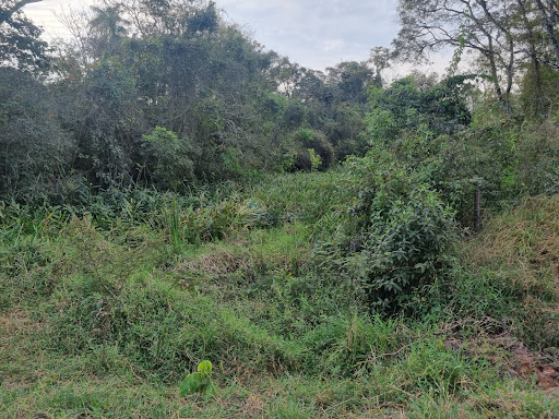 Sítio a venda em Casa Branca SP