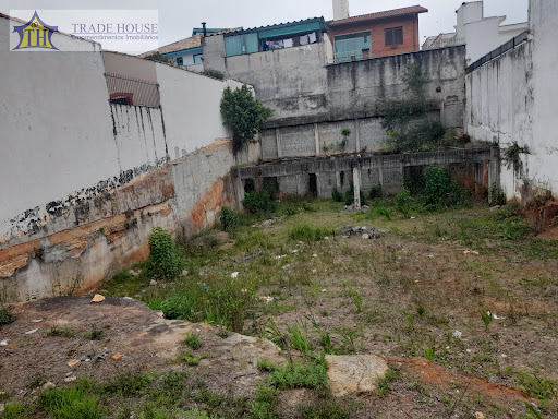 Terreno em Bosque da Saúde  -  São Paulo