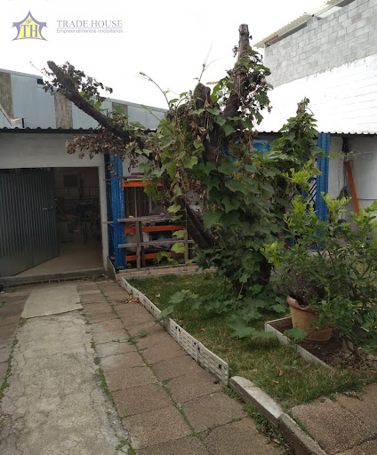 Galpão em Cursino  -  São Paulo