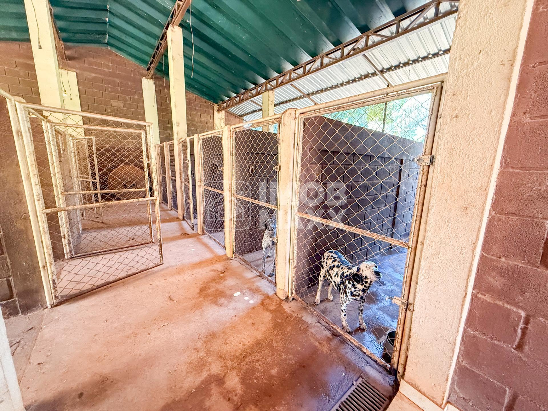 Sítio, 2 quartos, 8670 m² - Foto 21