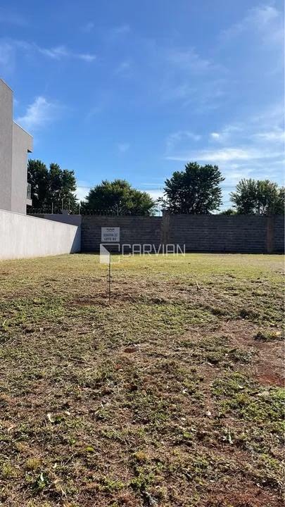 Terreno à venda com 360m² de terreno no Alto do Castelo, Ribeirão Preto (SP) — foto 11 de 17
