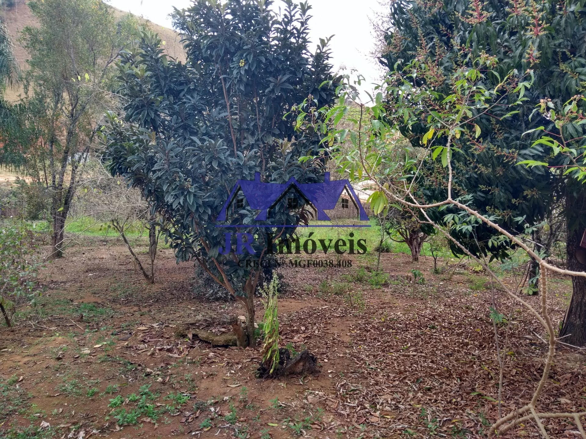 Rural à venda com 2500m² de terreno no Santa Barbara, Piranguinho (MG) — foto 13 de 28