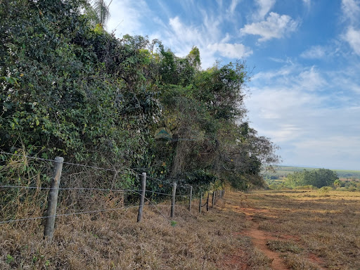 Sítio a venda em Casa Branca SP