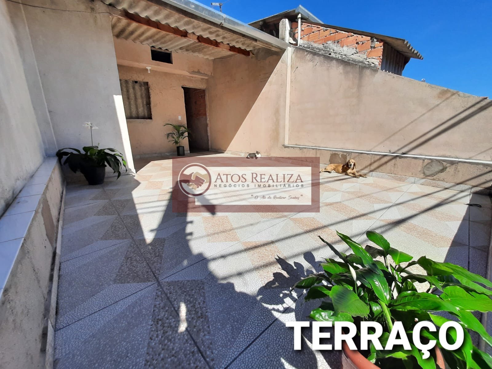 Casa à venda com 5 quartos e 1 vaga no Vila Roschel, São Paulo (SP) — foto 8 de 30