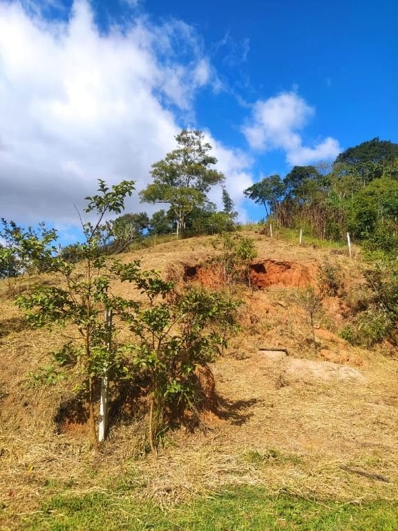 Terreno à venda com 1025m² de terreno no Parque Santa Teresa, Santa Isabel (SP) — foto 8 de 14