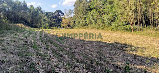 Sítio / Chácara SEM CASA em Carlos Barbosa / RS - Linha 05 da Boa Vista