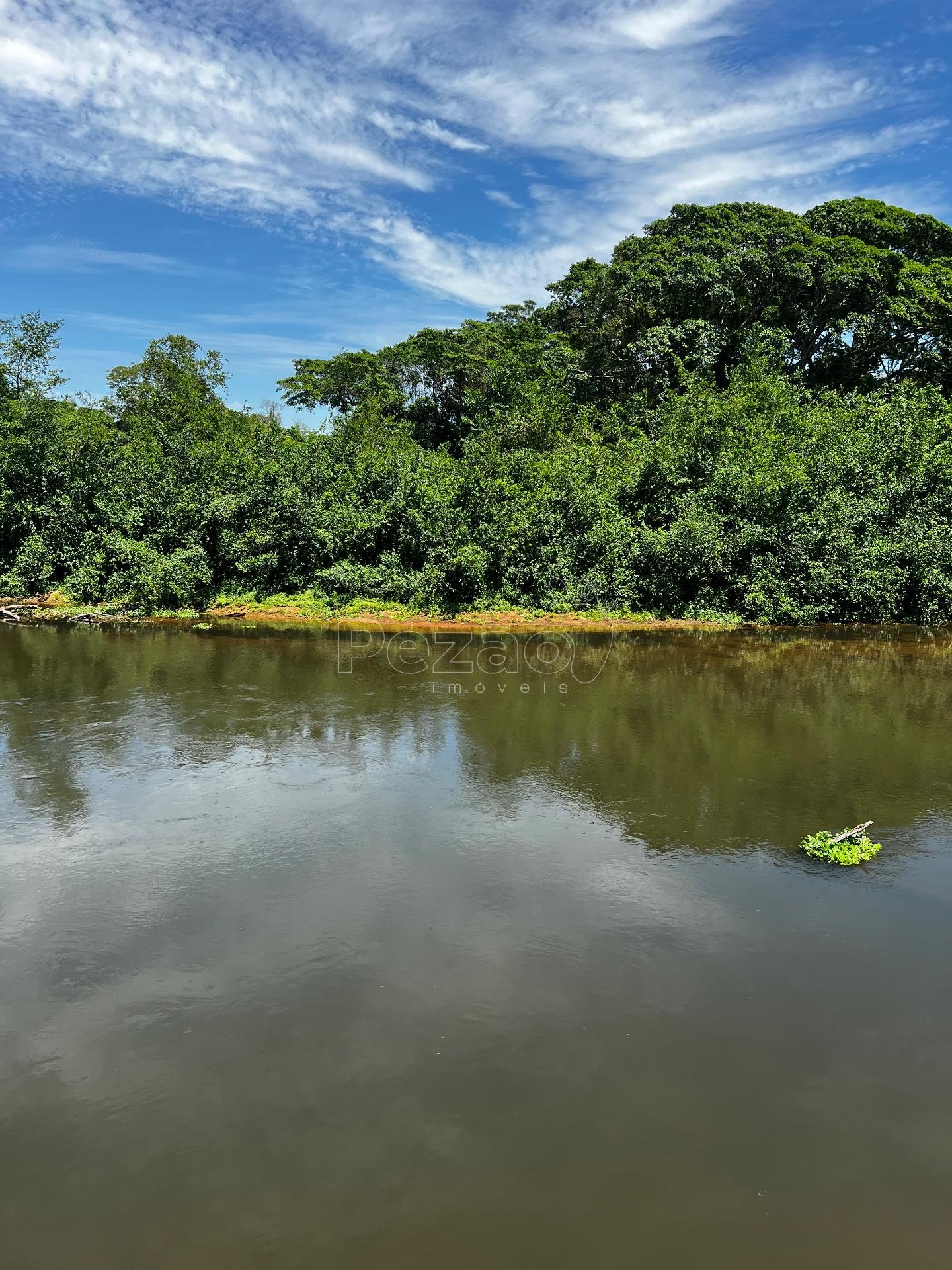 Rural à venda com 8215m² de terreno no Zona Rural de Heitoraí, Heitoraí (GO) — foto 5 de 18