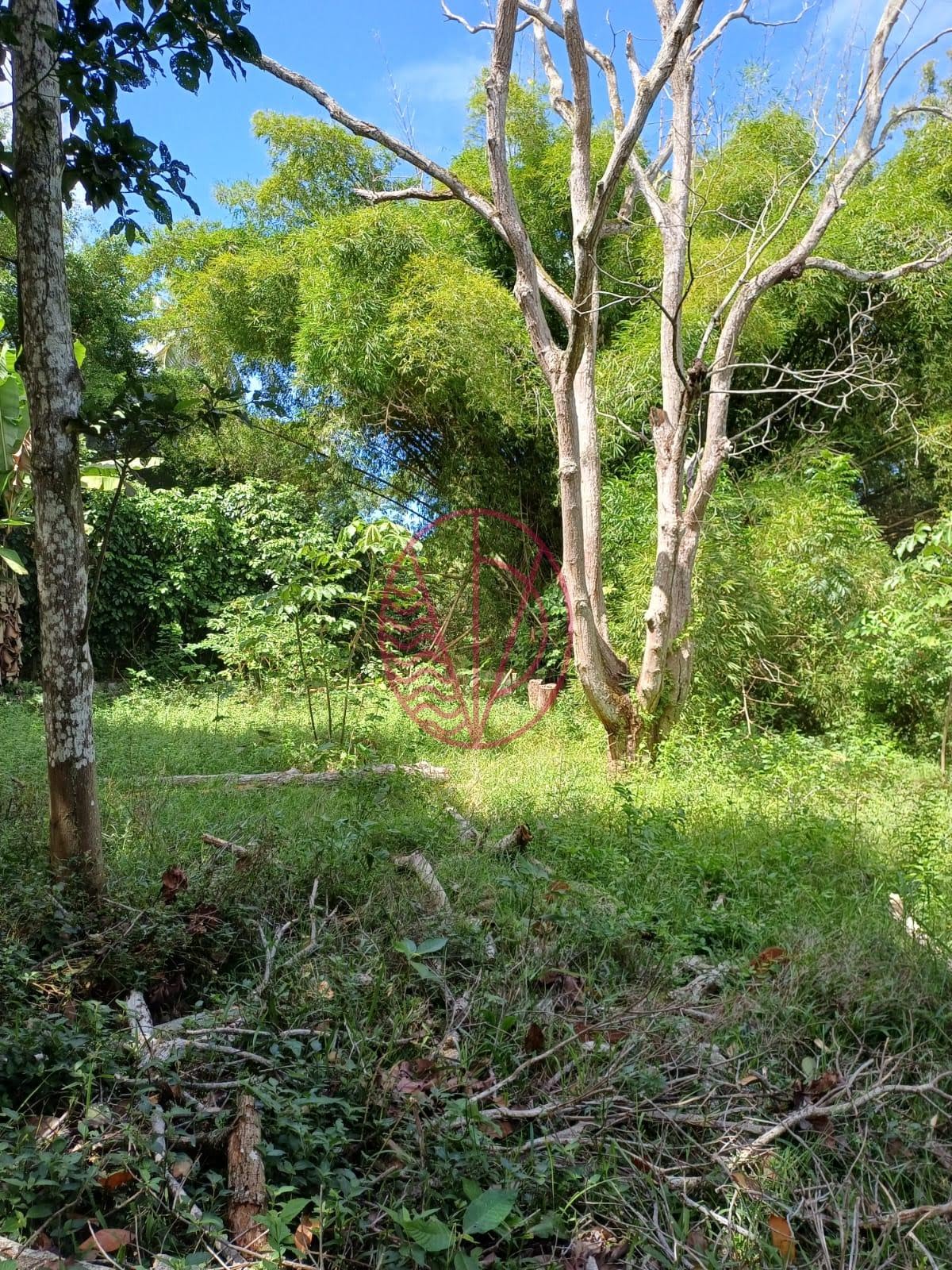Casa à venda com 3 quartos, 1 suíte, 4 vagas e 124m² no Malícia (abrantes), Camaçari (BA) — foto 21 de 29