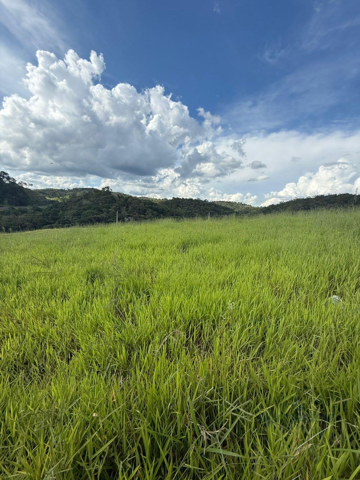 Terreno à venda com 250m² de terreno no São Bento, Arujá (SP) — foto 4 de 25