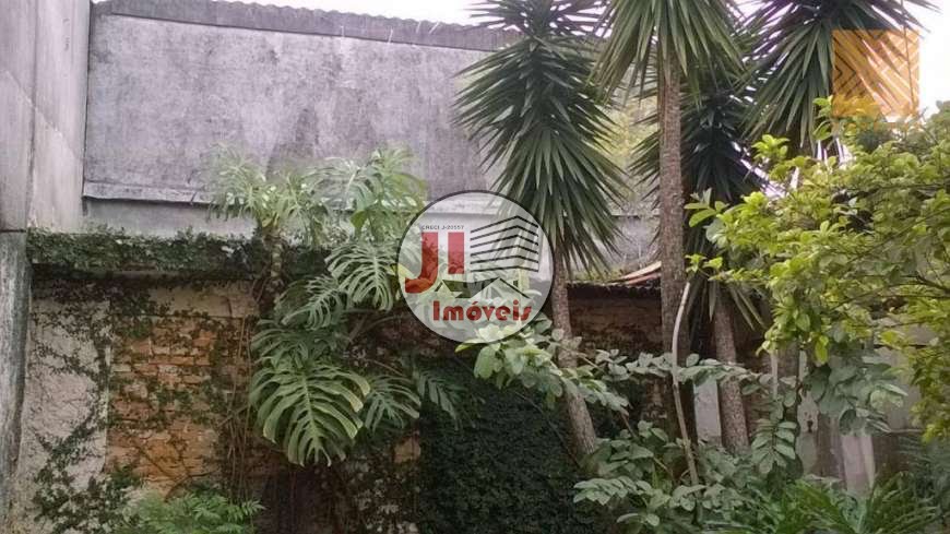 Área 